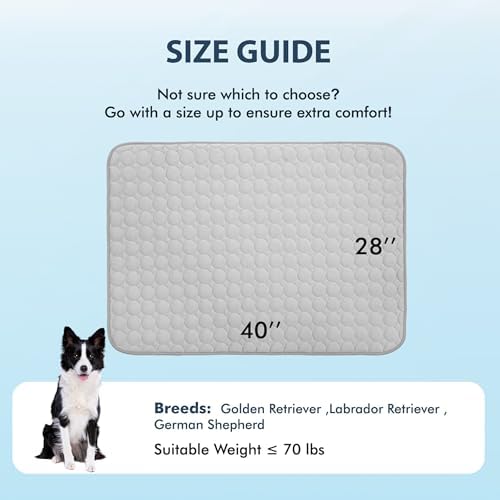 MICROCOSMOS Summer Cooling Mat & Sleeping Pad- Water Absorption Top, Materials Safe, Easy Carry, EZ Clean. Keep Cooling for Pets, Kids and Adults.(Grey, 40" x 28")