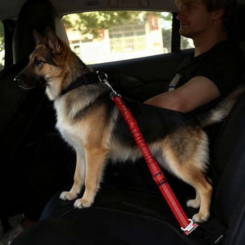 Dog Seat Belt for Car, Adjustable Dog Car Harness, Reflective Dog Seatbelt Leash with Elastic Bungee Buffer, Durable Nylon Pet Safety Dog Seat Belt for All Dog Sizes (Red)