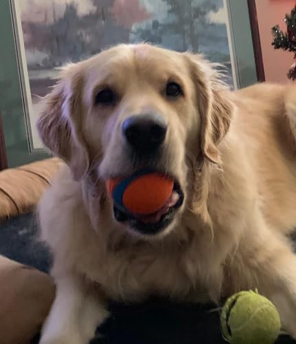 Rocky Mountain Goods Large Ball Dog Toy for Dogs 60 to 100 Pounds - Tough Fetch Ball for Aggressive Chewers - Thick Rubber Core - Ultra Bouncy - Floats in Water - High Visibility