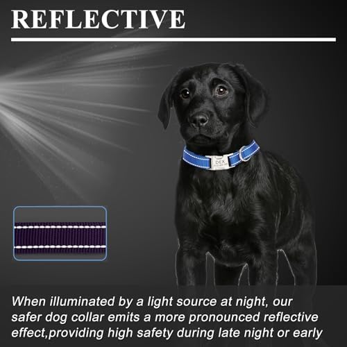 Personalized Reflective Nylon Dog Collar with Metal Buckle, Teal