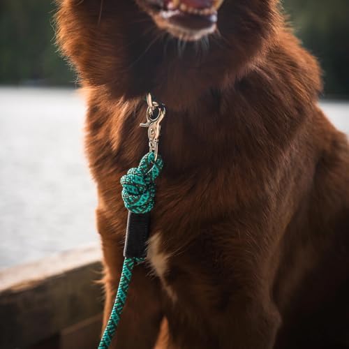 Wilderdog Climbing Rope Quick Clip Dog Leash - 5 ft - Cascade