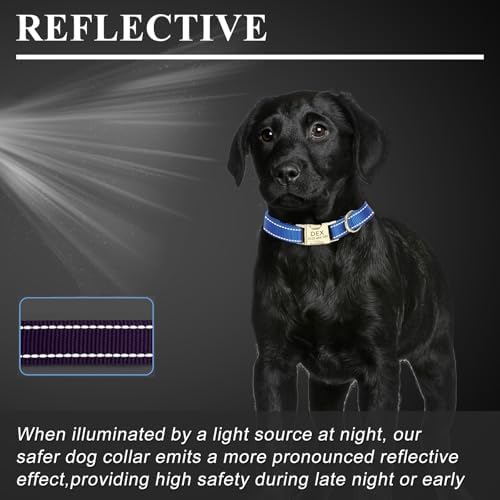 Personalized Reflective Nylon Dog Collar with Golden Buckle, Green