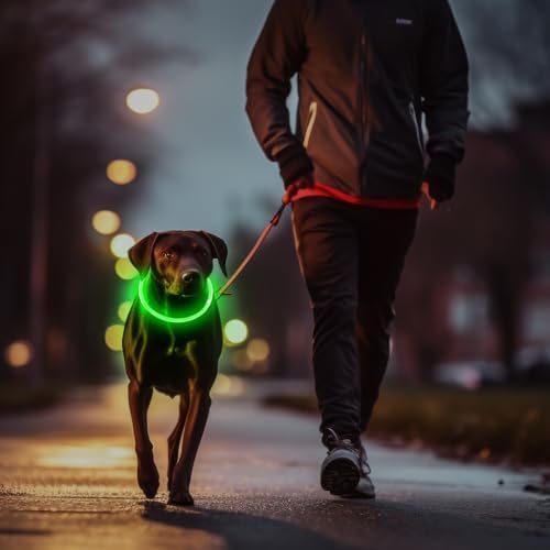 2 Pack Light Up Dog Collar, USB Rechargeable Dog Collar Light for Night Walking, Led Lighted Collar, Glow in the Dark Collar for Small Medium Large Dogs (Red+Green)