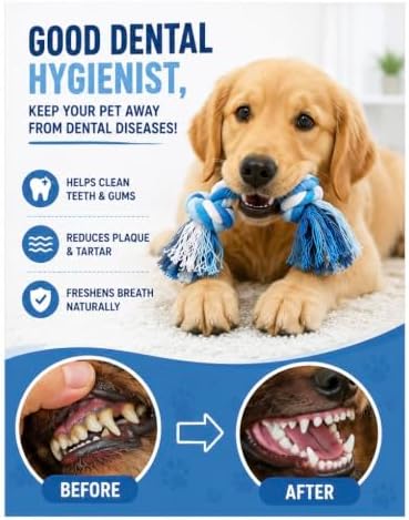 2-Pack Dog Rope Toys for Medium & Large Dogs – Durable 10" Cotton Chew Tug Toys with 2 Knots for Puppy Teething, Dental Cleaning, Boredom Relief, Indoor & Outdoor Play, Multi-Color