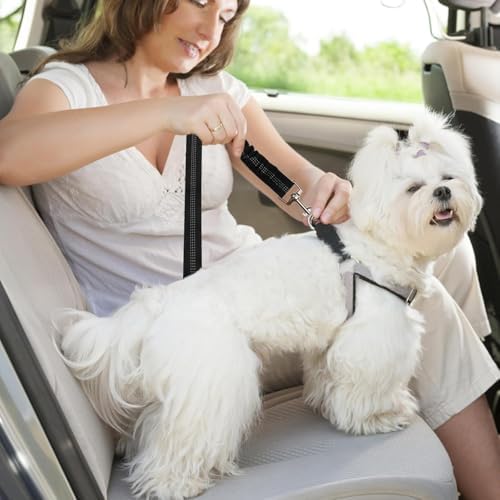 2 Pcs Dog Seat Belt for Car for Ford Transit 150 2015-2025, Bungee Retractable Dog Car Seat Belt Tether Adjustable Safety Harness Restraint with 360° Swivel Clip