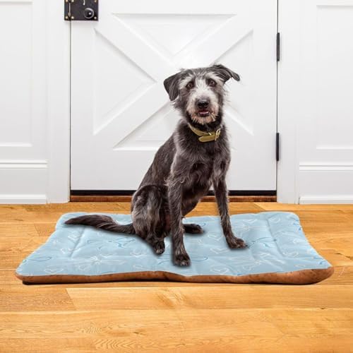 Soft Blue Bows Dog Mat Non-Slip Crate Pad with 4cm Thick Padding Washable Pet Bed Mat for Dog Crate, Car Seat, Floor 24" x 18"