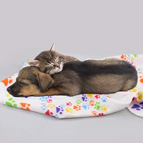 Comsmart Dog Blankets, 6 Pack Fleece Pet Blankets, 24x28 Inches, White