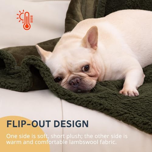 Waterproof Dog Blanket 40 x 60 in for Small & Medium Dogs, Washable