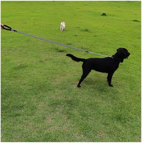 BTINESFUL 6FT Chewproof Dog Leash, Nylon Rope with Anti-Chewing Chain Leash
