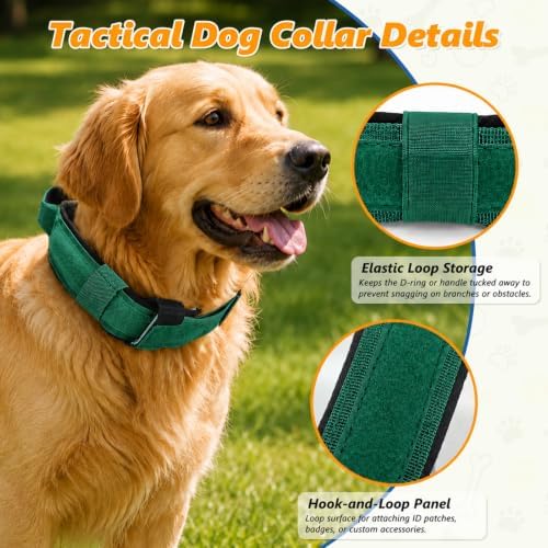Tactical Heavy Duty Dog Collar with Handle for Medium Large Dogs
