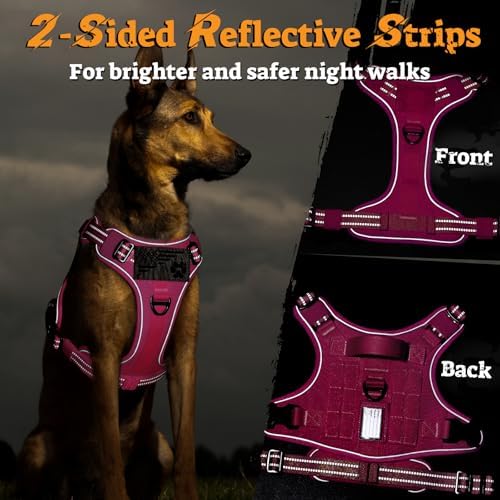 rabbitgoo Tactical Dog Harness for Large Dogs, No Pull Service Pet Vest