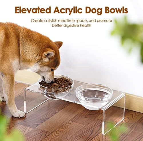 Acrylic Elevated Dog Cat Bowls Pet Feeder Double Bowl Raised Stand Comes with 2 Removable Glass Bowls and 2 Stainless Steel Bowls.Perfect for Medium Dogs, 5.5" Tall