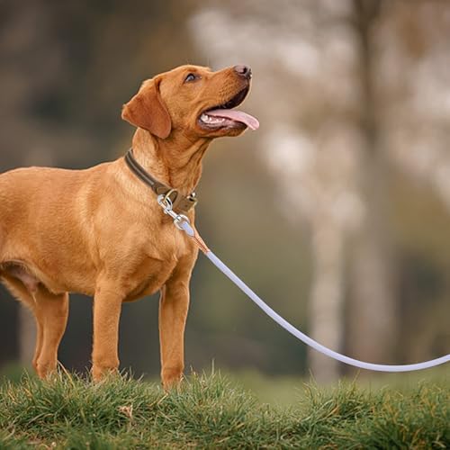 Mile High Life Dog Leash with Genuine Leather-Wrapped Ends/Handle, 4/5/6FT