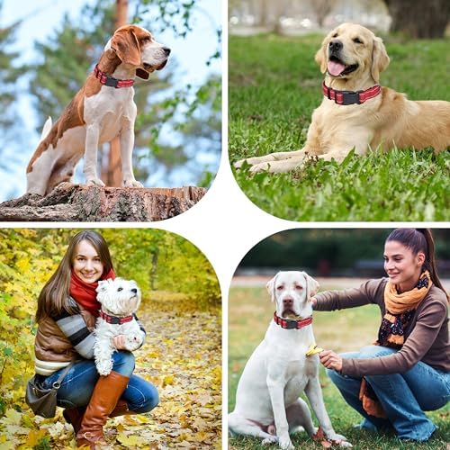 Seyezo Reflective Dog Collar, Soft Neoprene Padded Collar(Red,M)