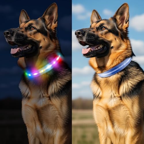 Light Up Dog Collar, Rechargeable 6 Modes, Waterproof Charging Port