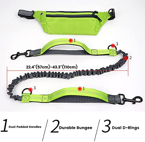 Hands Free Dog Lead for Running Walking Training Hiking with Dual Padded Handles and Waist Bag Durable Bungee,Shock Absorbing, Reflective Stitches for Small Medium Dogs