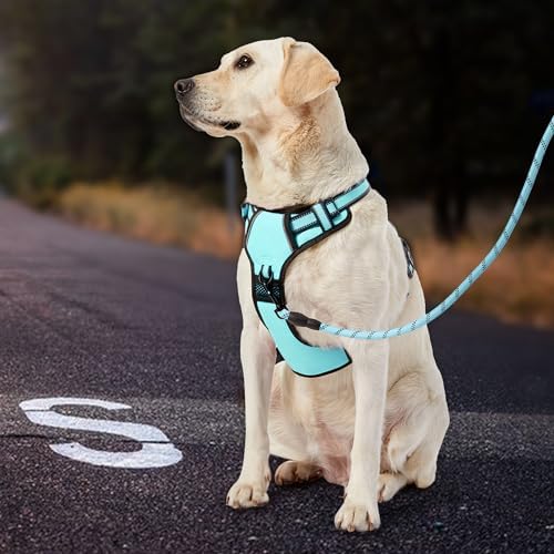 IVY&LANE No Pull Dog Harness for Large Dogs,Reflective Dog Vest Harness | No Choke,Fully Adjustable,Soft Handle,with Leash, Safety Belt and Storage Strap,Turquoise,XL