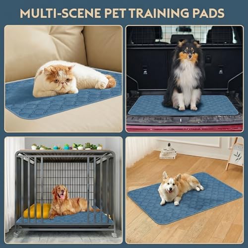FunFurry Washable Pee Pads for Dogs - 2 Pack Reusable Pee Pads,Waterproof Puppy Pads,Pet Training Pads,Super Absorbent with Dog Paw Shape Non-Slip Backing (Blue, 36" X 41" - 2 Pack)