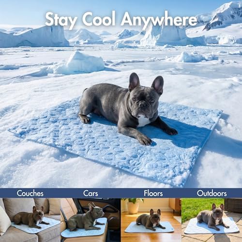 Spark Paws FrostCore Dog Cooling Mat - Non Gel Self Cooling Pet Pad