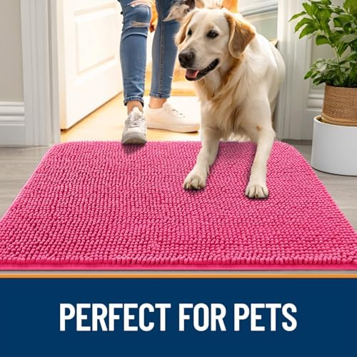 OLANLY Dog Door Mat for Muddy Paws 24x16, Super Absorbent Chenille Mud Mat