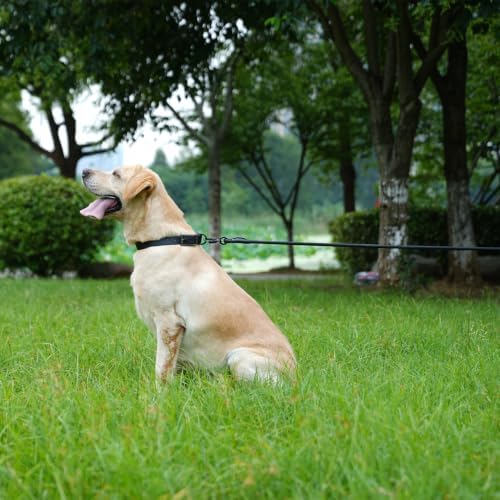 Long Dog Leash, 10ft 30ft 50 feet Heavy Duty Dog Training Leash, Aviation Aluminum Auto Locking Carabiner, Nylon Rope Long Line Check Cord Recall Lead for Yard,Playing,Camping,Black,30FT