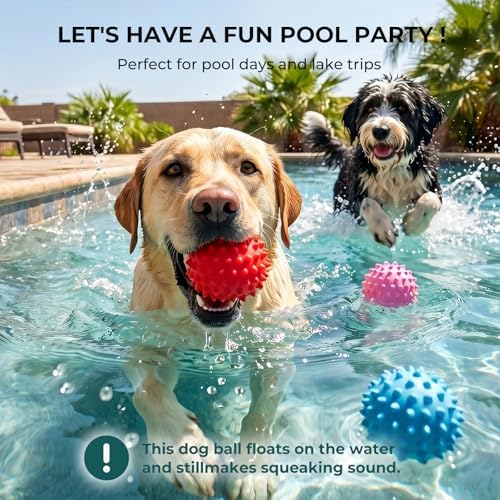 Beef-Flavored 3.5'' Tough Squeaky Ball for Dogs, 25-80lbs Pack of 2