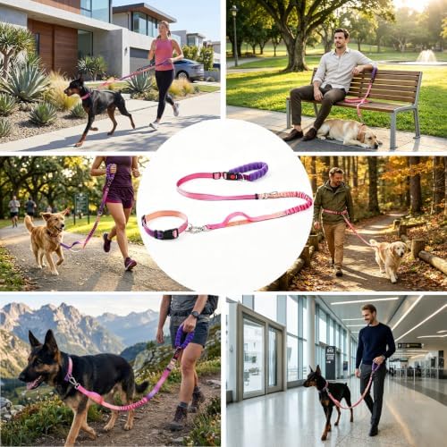 Hands Free Dog Leash and Collar Set Reflective Nylon Pet Lead Handles by Padded Traffic Handle for Small Medium and Large Dogs