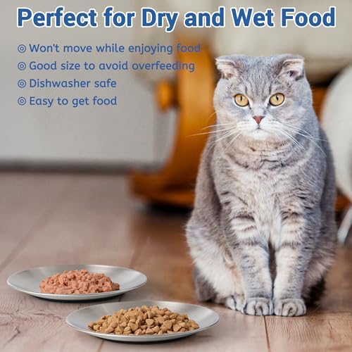 Stainless Steel Cat Bowls, Flat Cat Food Bowl Set with Silicone Ring for Non Slip, 6.7" Wide and Shallow Cats Dishes or Plates for Feeding Indoor Cats, Kitten, Small Dogs (Silver-6 Pack)