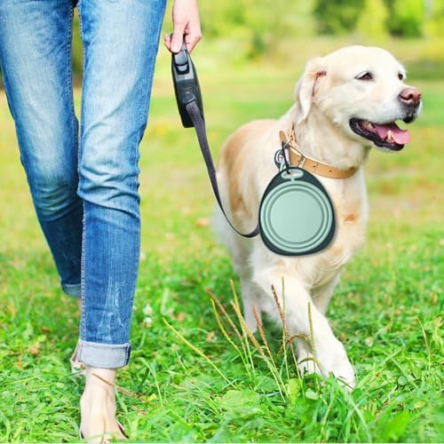 LEAWALK Reusable Pet Collapsible Bowls 2 Pack for Cats Dogs, Portable Pet Feeding Watering Dish with 2 Carabiners for Walking Parking Traveling Indoor (Medium Blue+Green)