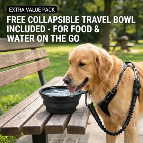 Dog Car Seat Belt Retractable Dog Seatbelt for Car
