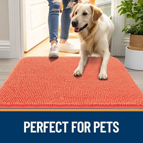 OLANLY Dog Door Mat for Muddy Paws 36x24, Super Absorbent Chenille Mud Mat
