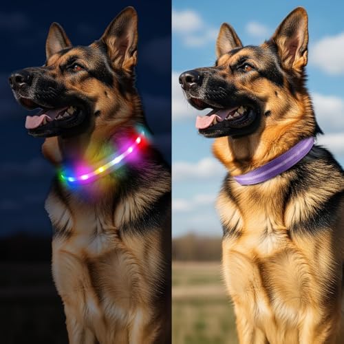 Light Up Dog Collar, Rechargeable 6 Modes, Waterproof Charging Port