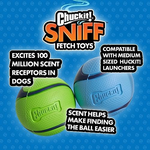 Chuckit! Sniff Ball Dog Toy, Durable High Bounce Bacon Scented Rubber Dog Ball Fetch Toy, Medium, (Pack of 12)