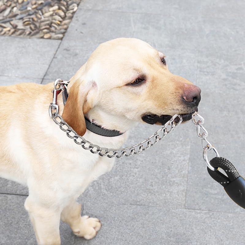 BTINESFUL 6FT Chewproof Dog Leash, Nylon Rope with Anti-Chewing Chain Leash