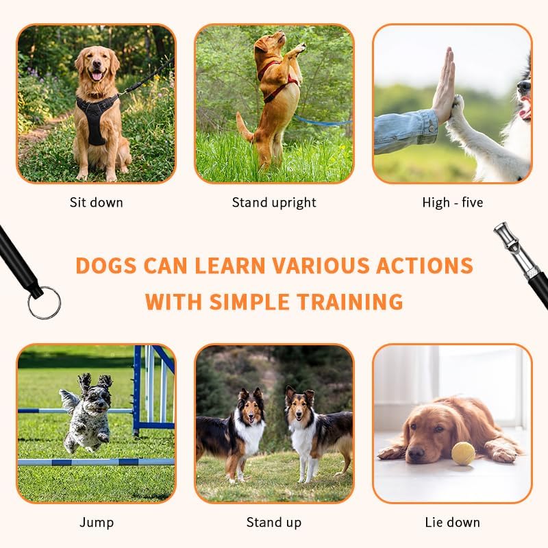 Dog Whistle, Adjustable Silent Training Whistle with Lanyard