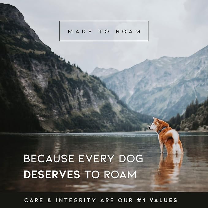 MADE TO ROAM Explorer Dog Collar | Heavy Duty Nylon & Durable Metal Buckle