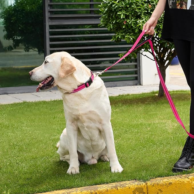 Reflective Nylon Dog Collar for Medium Dogs,Neoprene Padding,Hot Pink