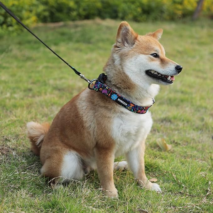 Dog Collar for Large Dogs - Cute Floral Girl Puppy Collars Purple