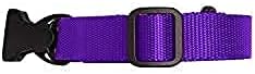 The Buddy System - Extend A Buddy, Leash Extender - Regular Dog, Purple