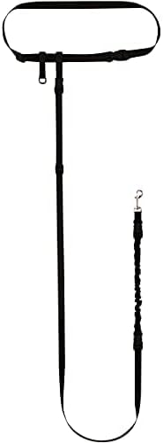 The Buddy System - Lunge Buster Shock Absorber, Small Dog, Black