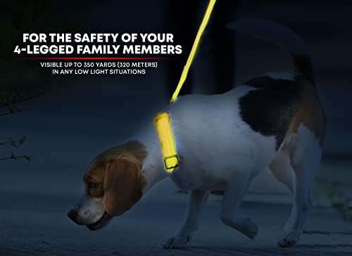 ILLUMISEEN LED Dog Collar USB Rechargeable | Bright & High Visibility Lighted Glow Collar for Pet Night Walking | Weatherproof, in 6 Colors & 6 Sizes (Yellow X-Large)