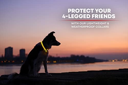 ILLUMISEEN LED Dog Collar USB Rechargeable - Bright & High Visibility Lighted Glow Collar for Pet Night Walking - Weatherproof, in 6 Colors & 6 Sizes (Yellow Small)