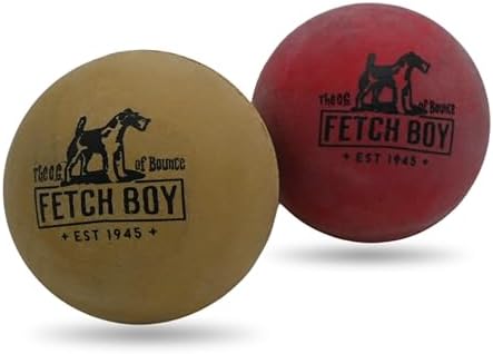 The O.G. of Bounce Solid Sponge Rubber Dog Ball, Made in USA, 2.5 inches, Medium Breeds that Fetch, 2 Pack Gift Box