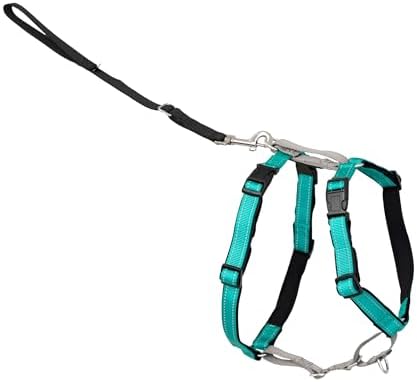 PetSafe 3 in 1 No-Pull Dog Harness - Walk, Train or Travel - Helps Prevent Pets from Pulling on Walks - Seatbelt Loop Doubles as Quick Access Handle - Reflective Accents - Medium, Teal