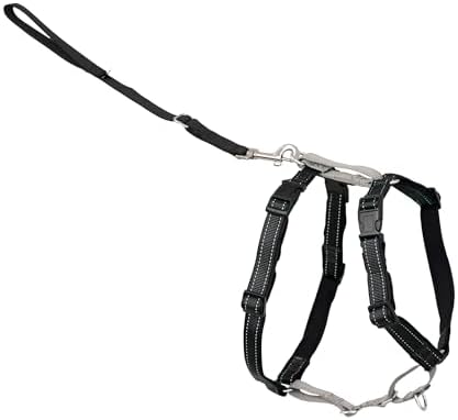 PetSafe 3 in 1 No-Pull Dog Harness - Walk, Train or Travel - Helps Prevent Pets from Pulling on Walks - Seatbelt Loop Doubles as Quick Access Handle - Reflective Accents - Small, Black