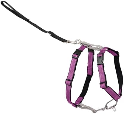 PetSafe 3 in 1 Dog Harness - No Pull Solution for Dogs - Reflective Dog Harness - Front D-Ring Clip Helps Stop Pulling - Comfortable Padded Straps - Top Handle Enhances Control - Plum - Extra Small