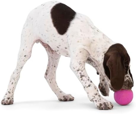 WEST PAW Boundr Ball Dog Fetch Toy – Bouncing Toys for Dogs, Fetch, Catch, Chewing, Play – Floatable, Recyclable Balls – Small Hot Pink/Aqua Blue 2-Pack