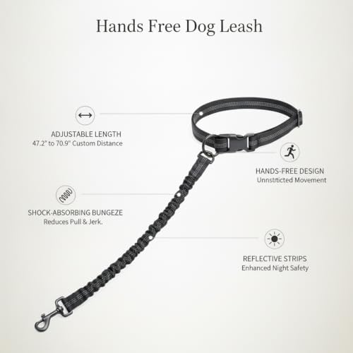 1 Pack Hands Free Dog Leash, Adjustable Nylon Waist Belt with Shock-Absorbing Bungee and Reflective Strips for Running and Hiking