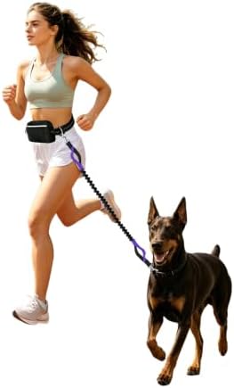 Hands Free Dog Leash, Shock Absorbing Waist Belt for Walking (Purple)