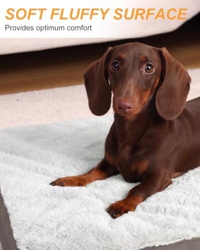 KSIIA Orthopedic Dog Bed for Small Dogs with Waterproof Lining, Grey, 17x12